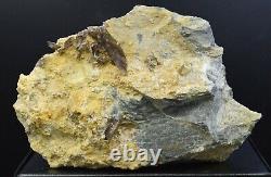 Axinite 884 grammes Hautes-Pyrénées, Occitanie, France