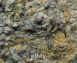 Grenat almandin & glaucophane 1730 grammes Pointe des Chats, Groix, France